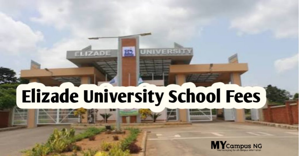Elizade University School Fees
