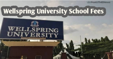Wellspring University School Fees